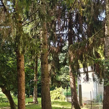 Oasi Μέστρε